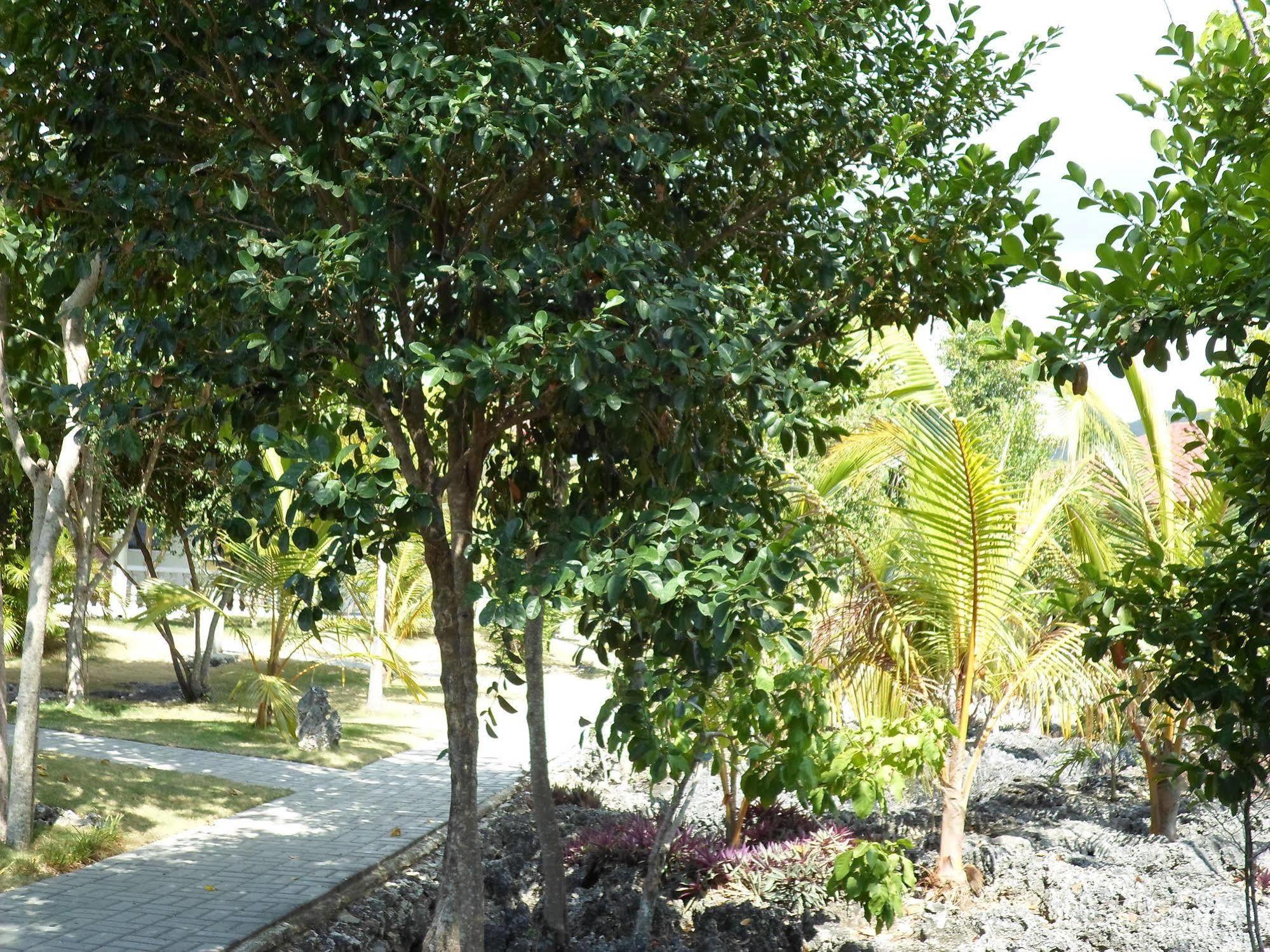 Meili Beach Resort Alcoy Zewnętrze zdjęcie